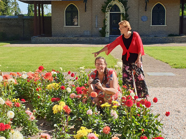 Bollenstreek wird Blumenregion